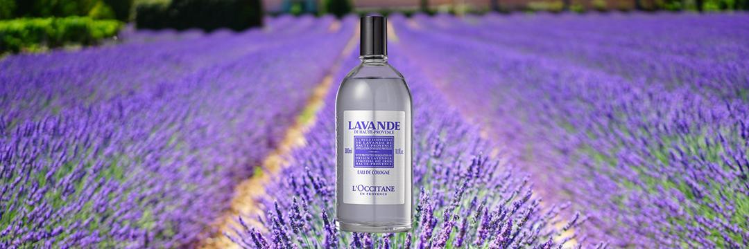 Resenha: Lavanda (L'Occitane)